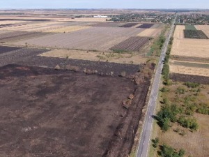 Najskuplje njive su one koje se ne koriste, više od 1.300 hektara zaparloženog državnog zemljišta