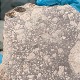 Метеорит – део универзума, вреднији од злата  на аукцији