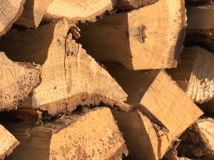Nerealno skup ogrev, pa direktor &#34;Srbijašuma&#34; poručuje: Hitno ograničiti izvoz i cenu