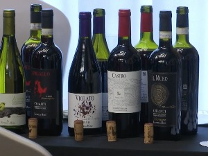 Italijanske kompanije predstavljaju vina i hranu u Srbiji, izvoz u Italiju 10 puta manji od uvoza