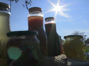 Ne morate kod rođaka na selo - cveta novi biznis, tegla ajvara i džem od maline do kućnog praga