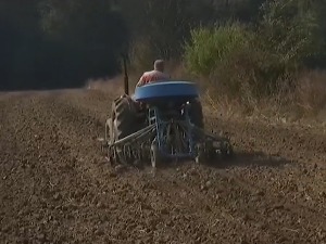 Agrarni budžet skoro 80 milijardi dinara - koliko novca će ići za subvencije