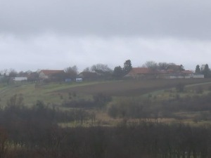 Vila Novaka Đokovića pretvorila selo kod Rume u mondensko mesto, stotine hiljada evra za zemljište