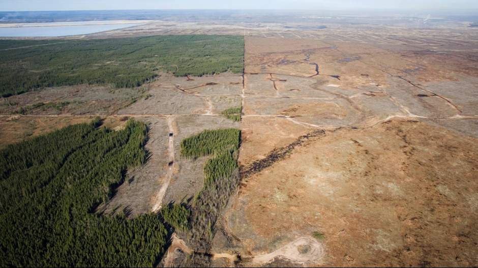 WWF: На Светски дан дивљих врста, замислите како би изгледао свет без природе WWF: На Светски дан дивљих врста, замислите како би изгледао свет без природе