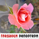 Гледаоци репортери (11. новембар 2023.)