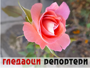 Гледаоци репортери (11. новембар 2023.)