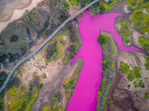 Зашто је језеро на Хавајима одједном постало јарко ружичасто