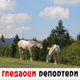 Гледаоци репортери (13. новембар 2023.)