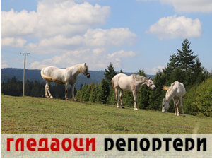 Гледаоци репортери (13. новембар 2023.)