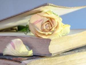 У друштву песника