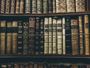 У друштву песника