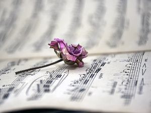 Федерик Момпоу 