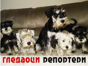 Гледаоци репортери (18. новембар 2023.)