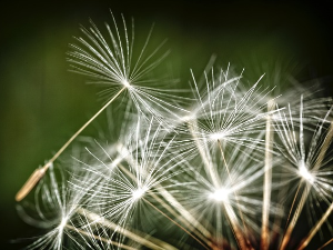 Имагинарни пејзажи