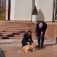 Како је председника Аустрије ујео пас председнице Молдавије