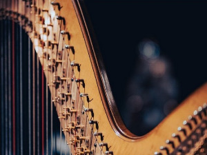 Аријана Саваљ