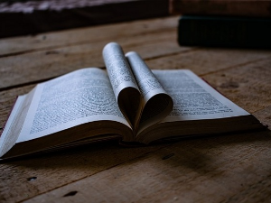 У друштву песника