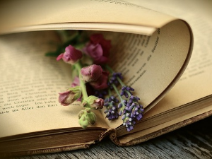 У друштву песника