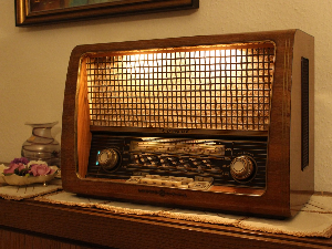 Азбука евергрина - Maria Dolores Pradera