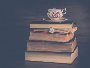 У друштву песника