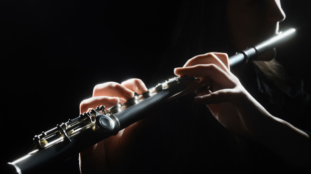 Аутограм: Карла Рајнеке: Концерт за флауту