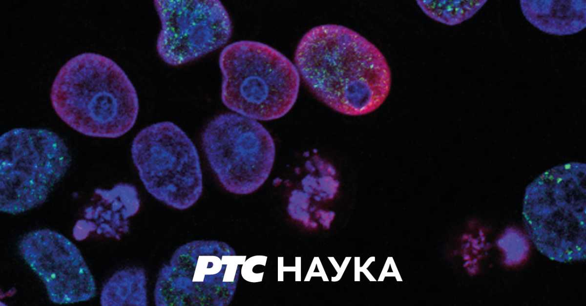 АРТ записи о природи: Трећа емисија