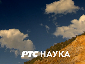 Ситнице свакодневнице: CV