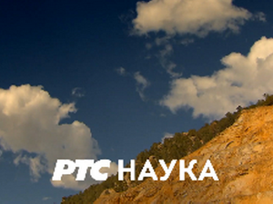 Породична мрежа: Конфликти