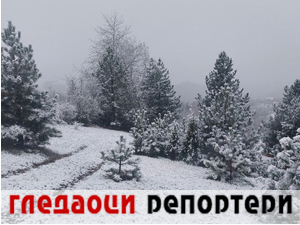 Гледаоци репортери (27. новембар 2023.)