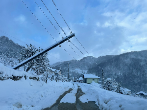 Први већи снег направио проблеме широм земље: дрвеће на путевима, оборени далеководи; Поједина села остала без струје