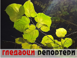 Гледаоци репортери (29. новембар 2023.)