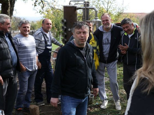 ТВ Лица као сав нормалан свет-Неле Карајлић