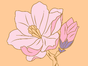 Добро јутро децо: Цвет