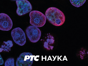 Историја науке:	Јован Жујовић