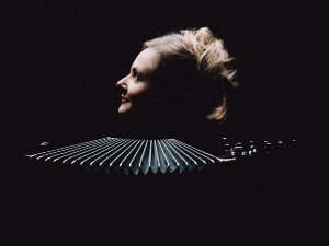 Век хармонике – Вивијан Шасо: Folk Flow