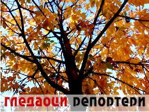 Гледаоци репортери (6. новембар 2023.)