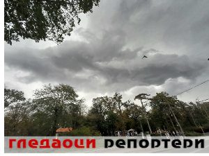 Гледаоци репортери (7. новембар 2023.)