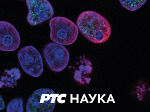 Алгоритам, 6. емисија