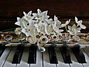 Из музичке радионице - Цвеће