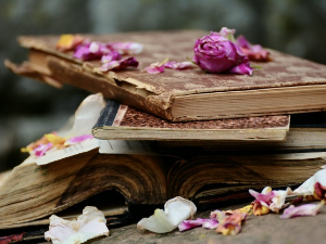 У друштву песника