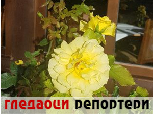 Гледаоци репортери (14. децембар 2023.)