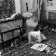 Позна јесен