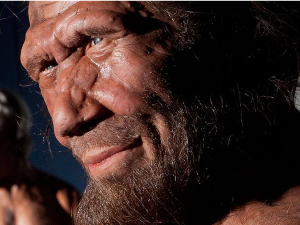 ДНК неандерталаца пружа објашњење зашто неки воле да устају рано