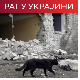 Москва: Уништено 26 дронова над Кримом; Шолц: Пријатељски савет да Орбан напусти салу током гласања