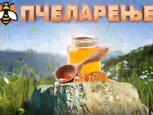Еко минијатуре: Пчеларење - сурови свет пчела