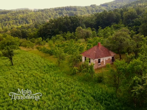 Моја дедовина 3 – село Печеног, 9. емисија