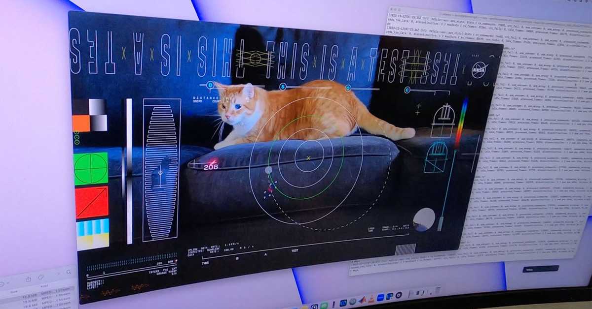 Мачак Тејтерс звезда Насиног видео-снимка стримованог из дубоког свемира (НАСА) Мачак Тејтерс звезда Насиног видео-снимка стримованог из дубоког свемира