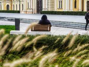 Још један пролећни дан у децембру