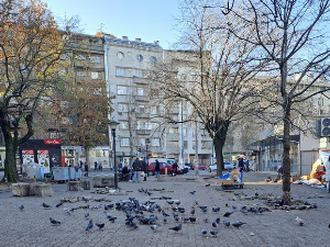 Јутарњи викенд програм