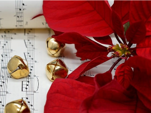 Празнични музички програм (2. део)